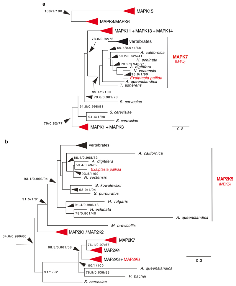 Extended Data Fig. 3