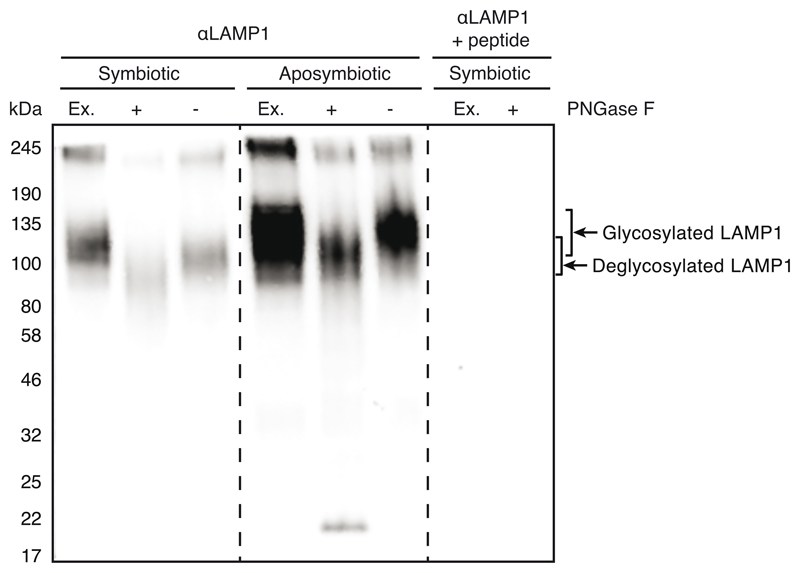 Extended Data Fig. 6