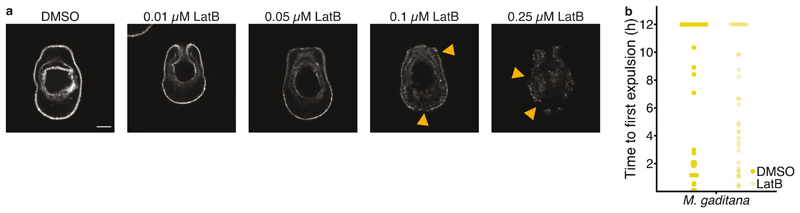 Extended Data Fig. 2