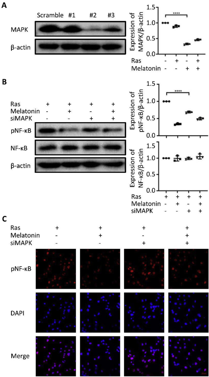 Figure 5