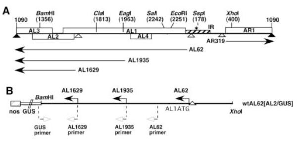 Fig. 1