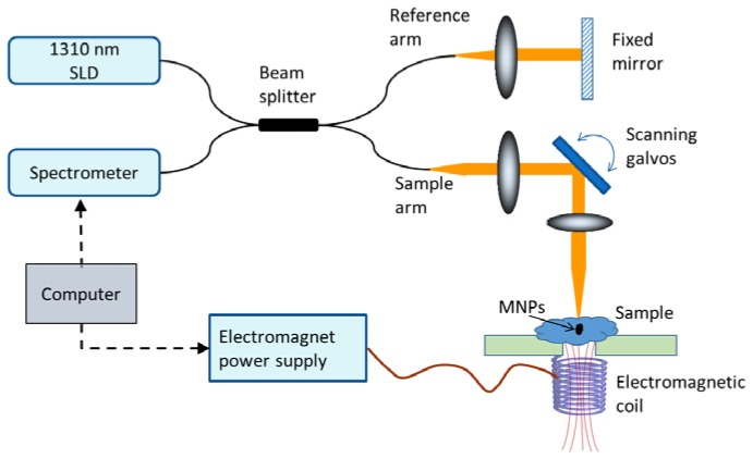 Fig. 1