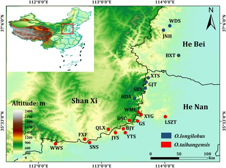 FIGURE 1