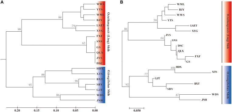 FIGURE 2