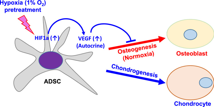 Fig. 10