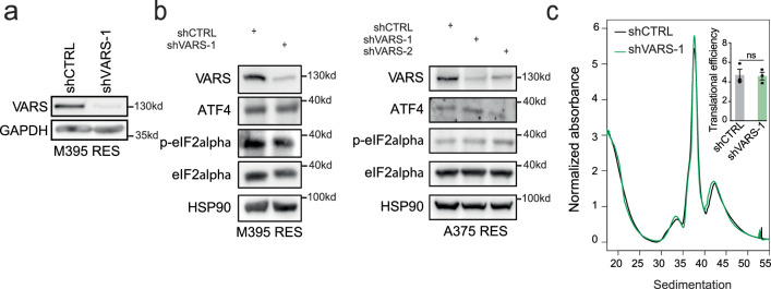 Extended Data Fig. 5