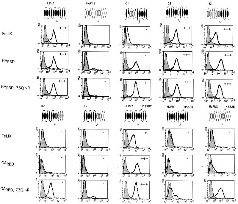 FIG. 4.