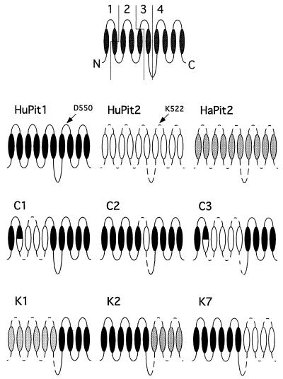 FIG. 2.