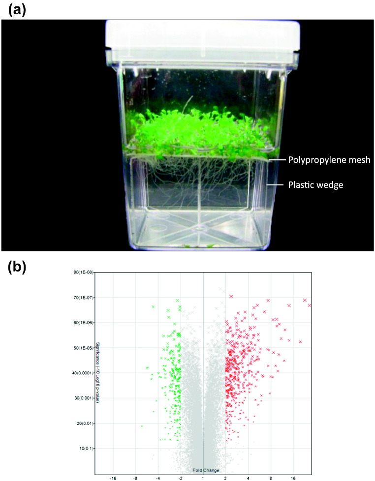 Fig. 1