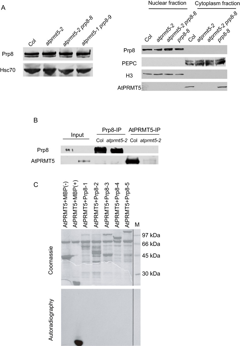 Fig. S3.