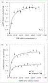 Fig. 2 –