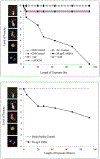 Fig. 4 –