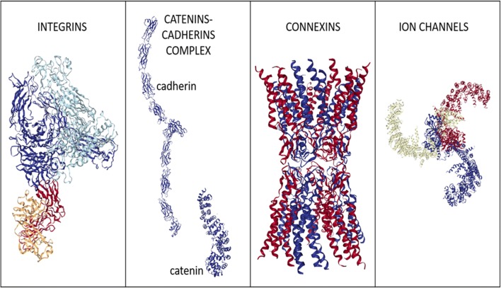 Fig. 1