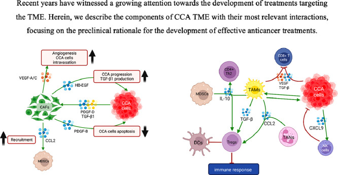 Image, graphical abstract