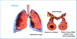 Fig. (7)