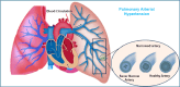 Fig. (6)