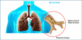 Fig. (8)