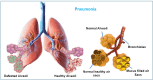 Fig. (9)