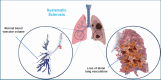 Fig. (4)