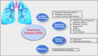 Fig. (1)