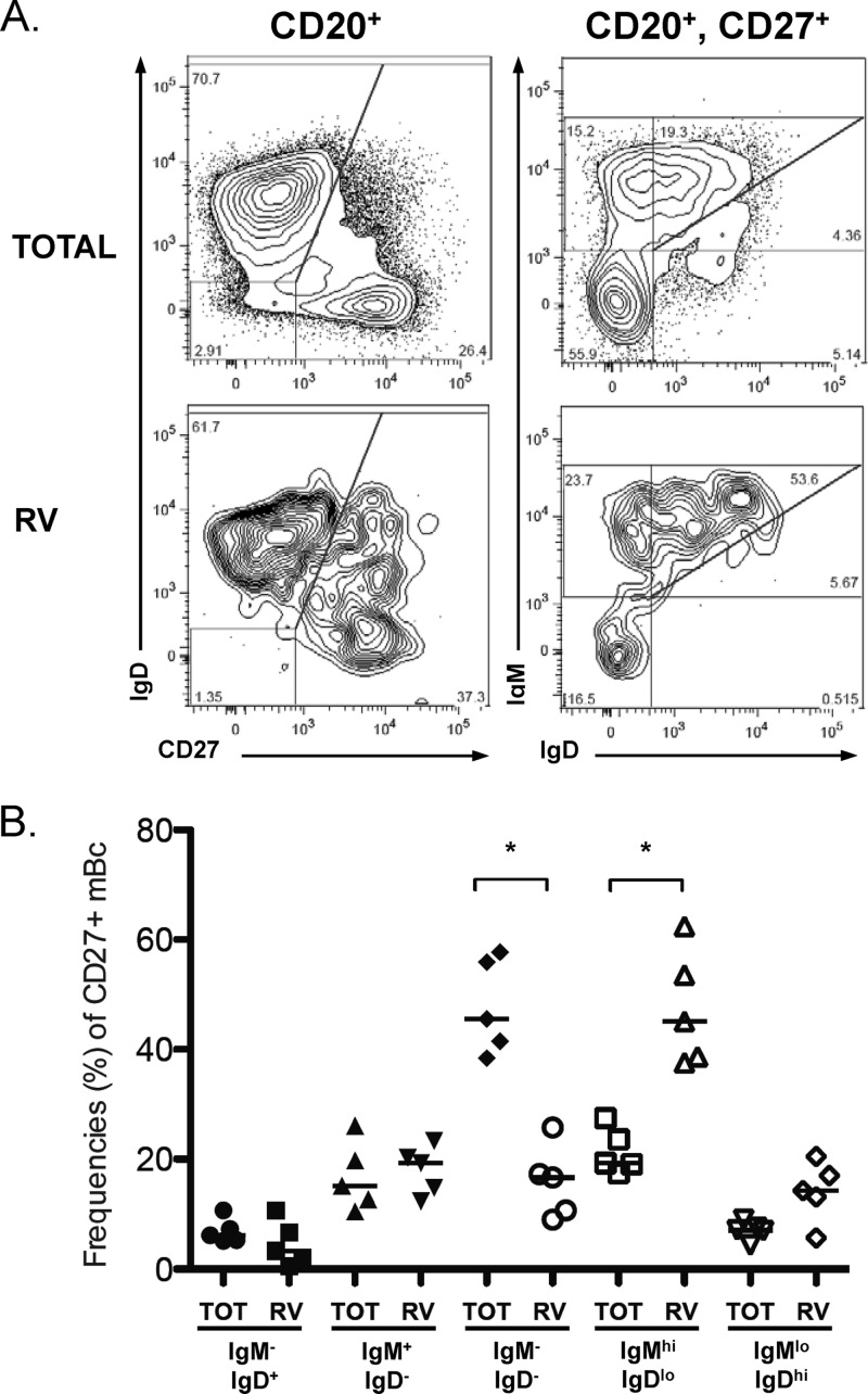 Fig 5