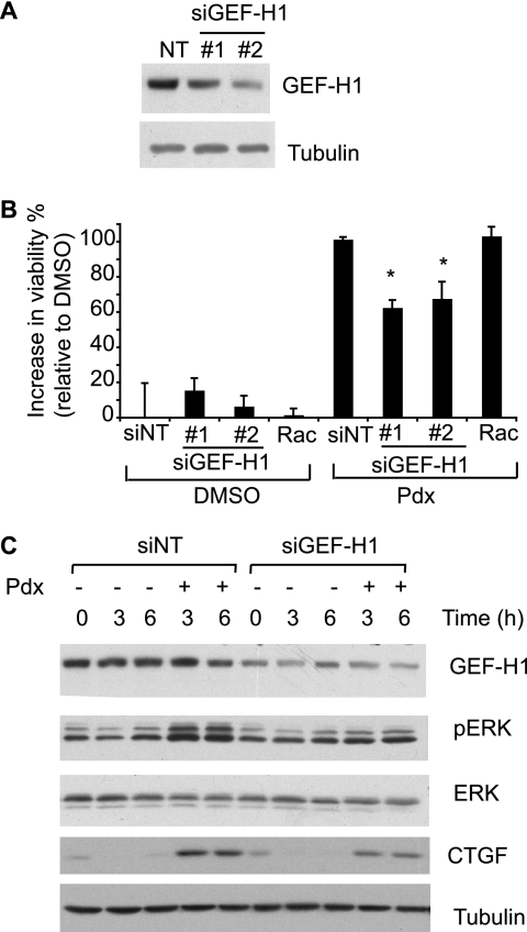 FIGURE 7.