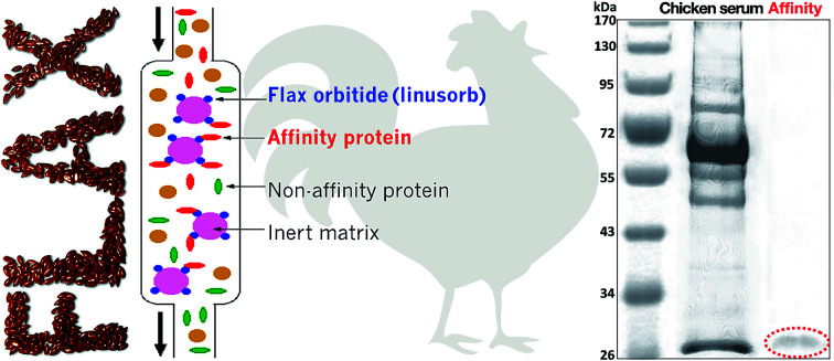 graphic file with name c8ra01757c-ga.jpg