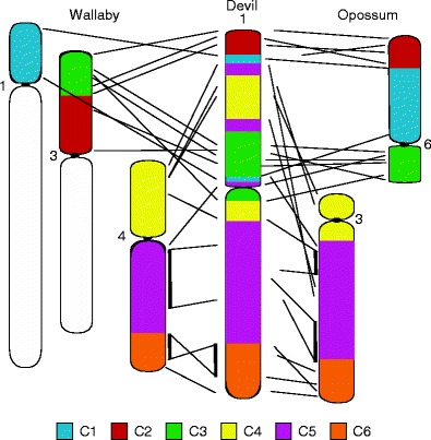 Fig. 4