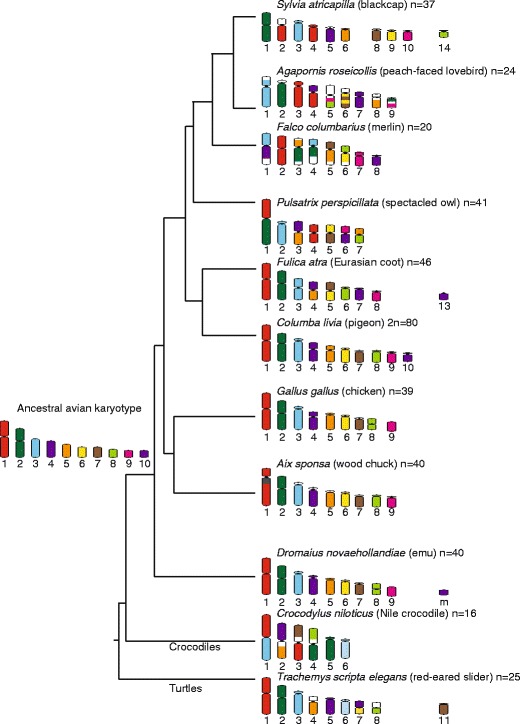 Fig. 2