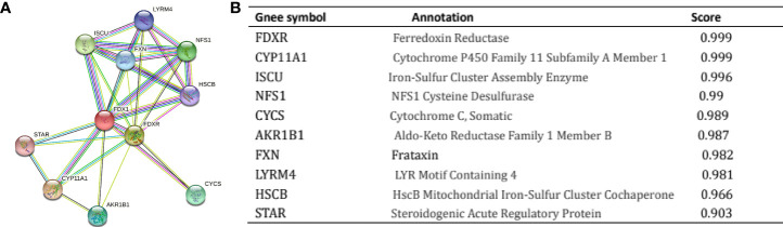 Figure 5