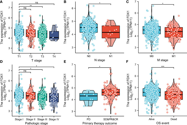 Figure 3