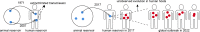 Figure 7: