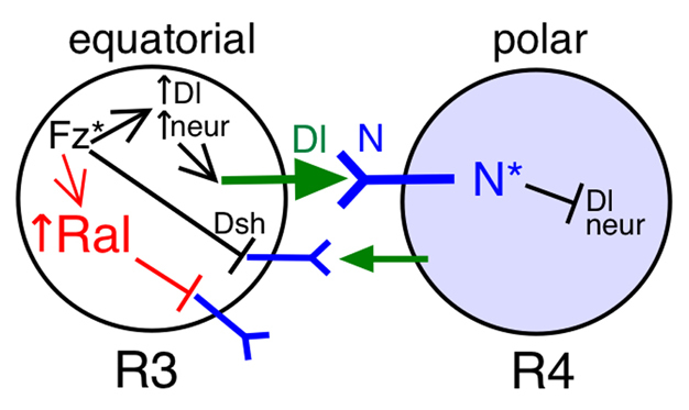 Fig. 10.