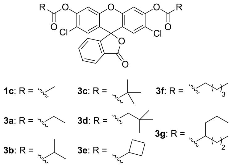 Scheme 4