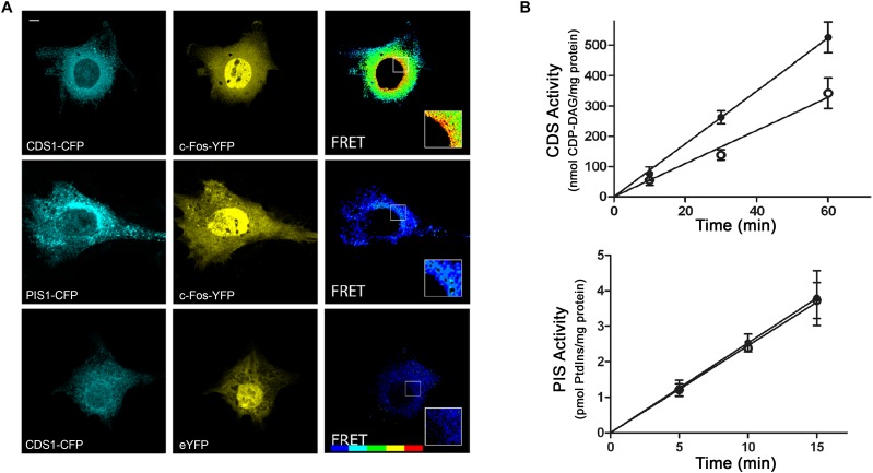 FIGURE 3