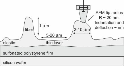 Fig. 1.