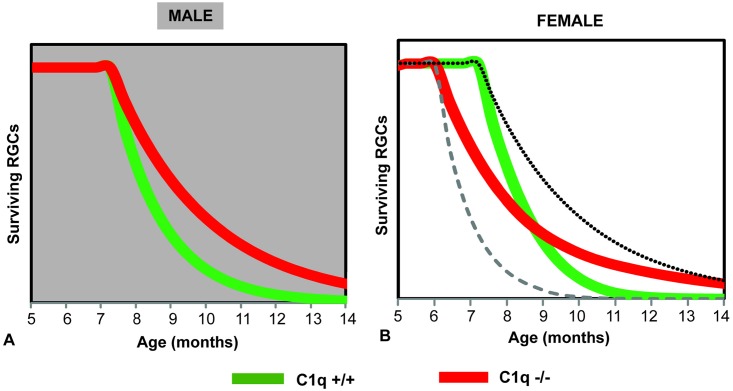 Fig 9