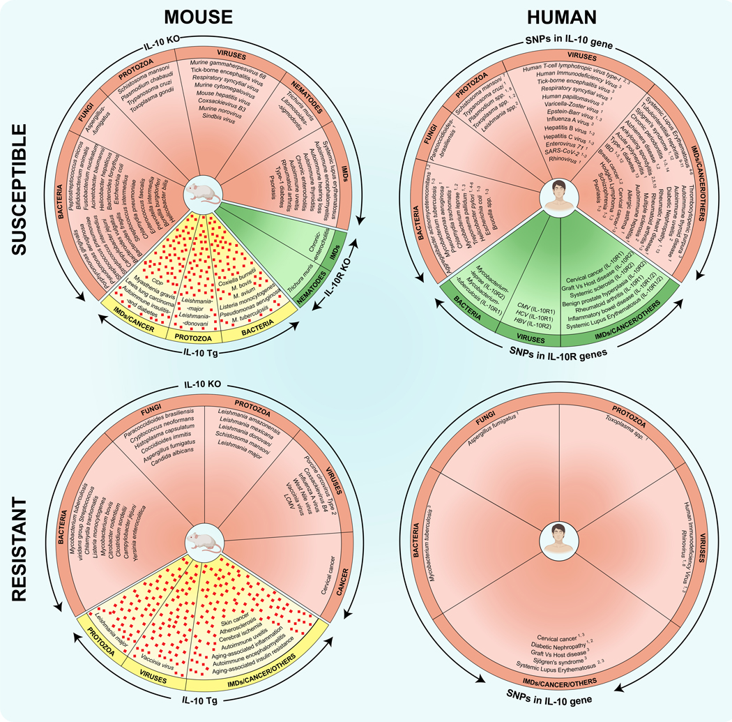 Fig 3: