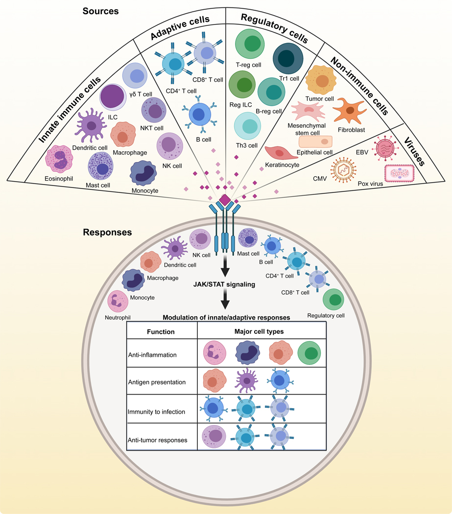 Fig 2: