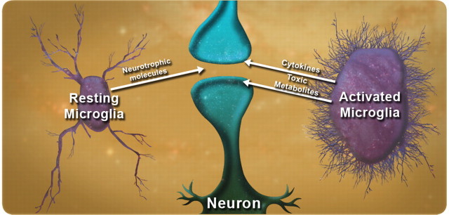 Figure 3.