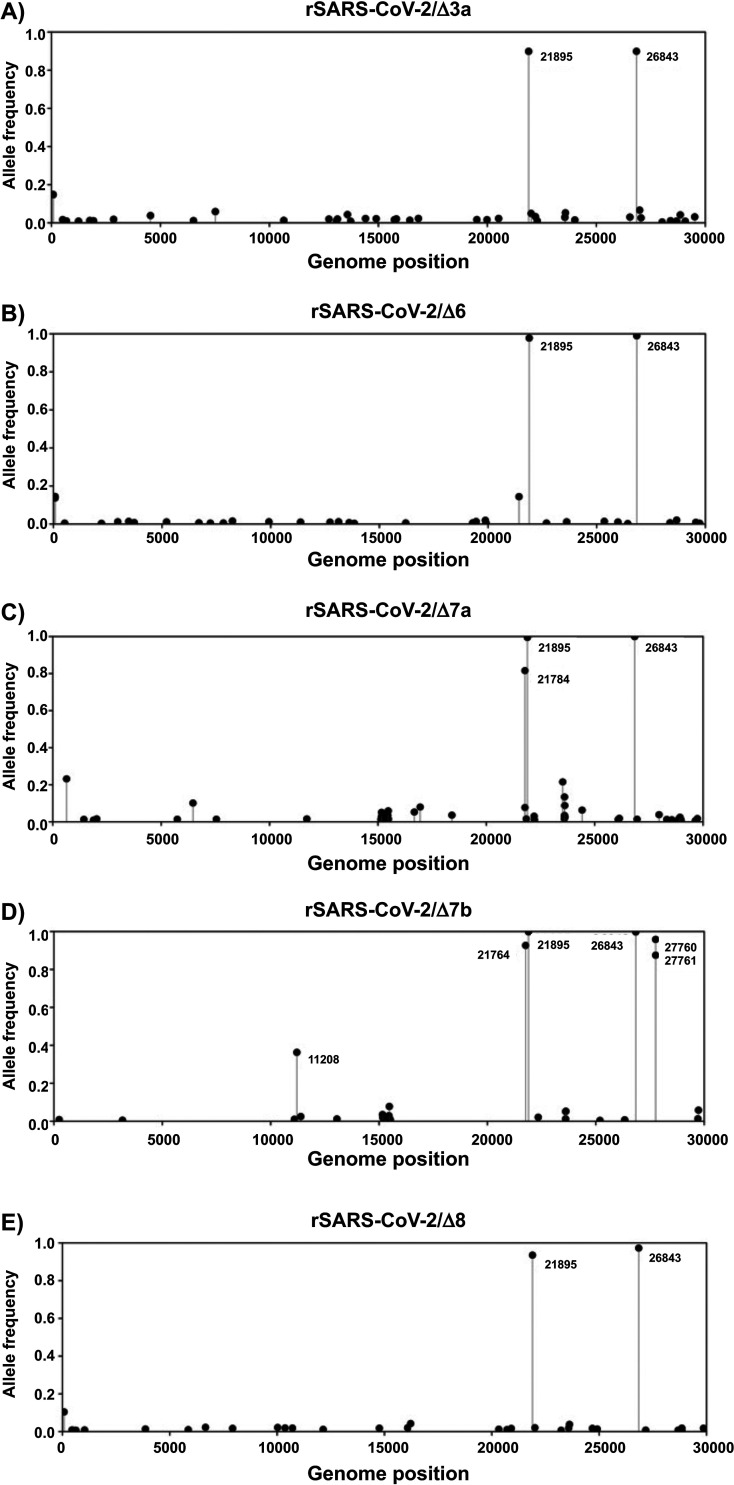 FIG 3