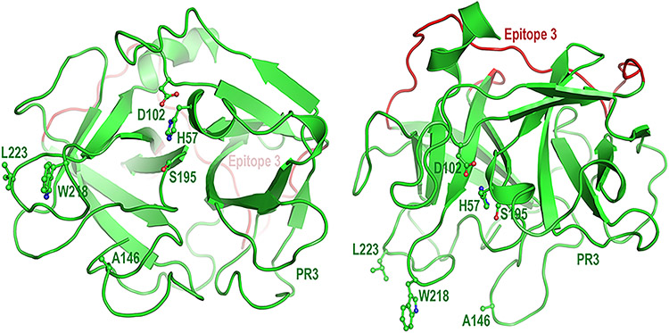 Fig. 1 –