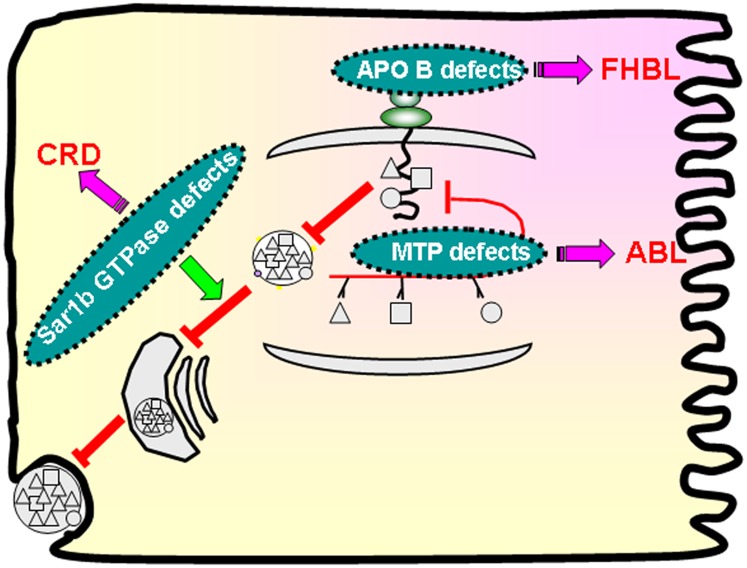 Fig. 2.