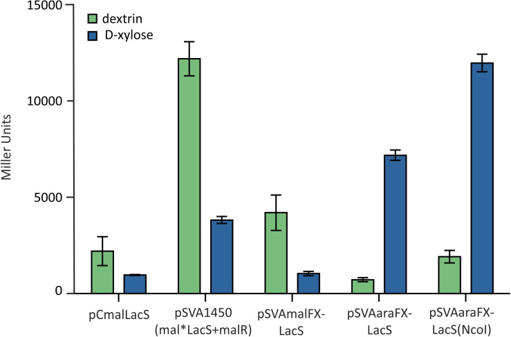 FIGURE 5