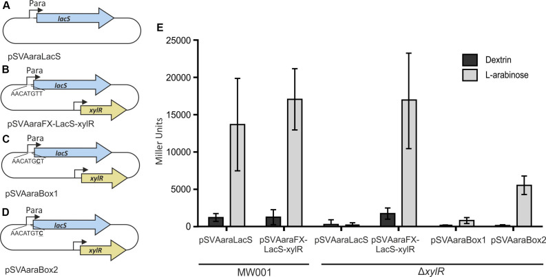 FIGURE 3