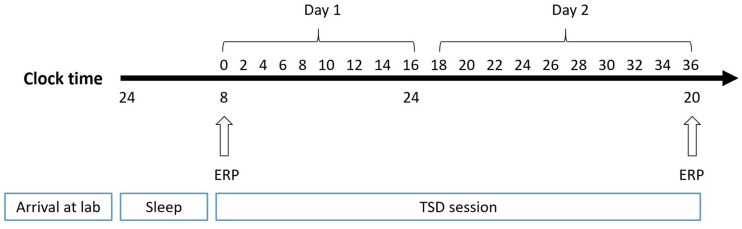 FIGURE 2