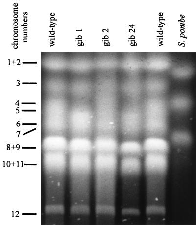 FIG. 5