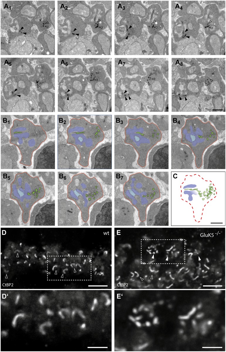 Fig 4