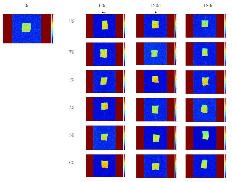 Figure 5