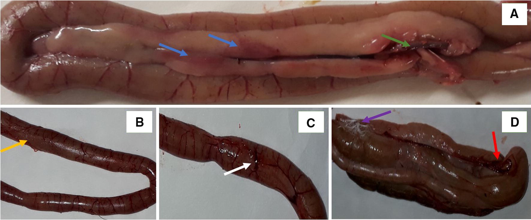 Figure 1